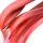 Ravent (Rhubarb)